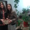 Међународни дан толеранције 2015.